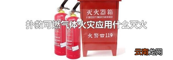 扑救可燃气体火灾应用什么灭火