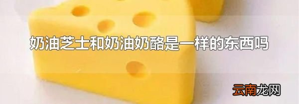奶油芝士和奶油奶酪是一样的东西吗