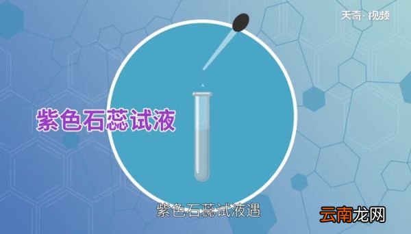 紫色石蕊溶液遇中性溶液显什么色紫色石蕊溶液遇中性溶液会变成什么颜色
