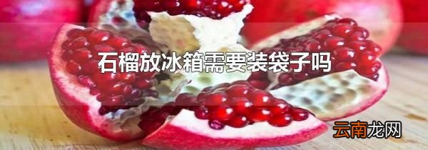 石榴放冰箱需要装袋子吗