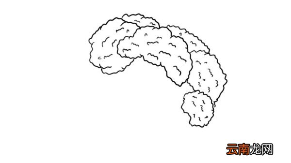 西兰花简笔画