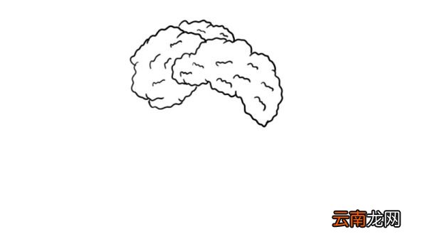 西兰花简笔画