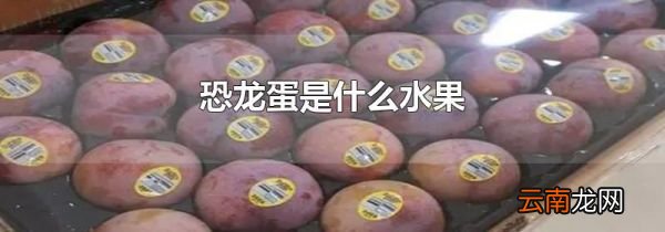 恐龙蛋是什么水果