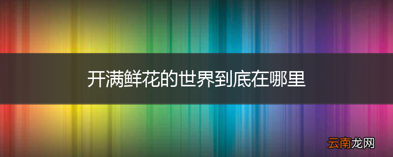 开满鲜花的世界到底在哪里