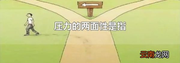 压力的两面性是指