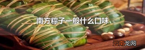 南方粽子一般什么口味