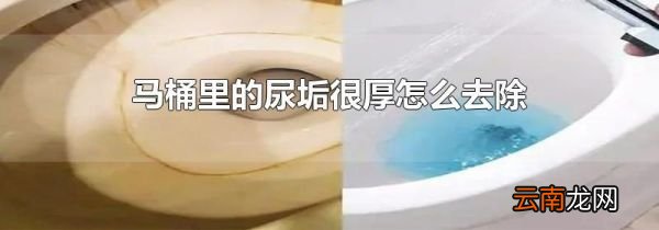 马桶里的尿垢很厚怎么去除