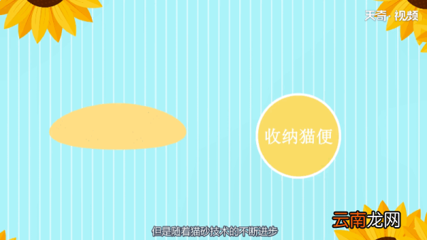 猫砂多久换一次 猫砂多长时间换一次