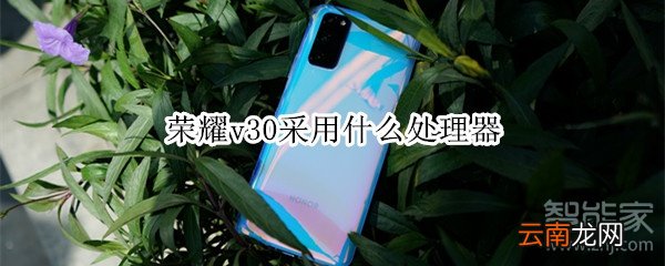 荣耀v30采用什么处理器