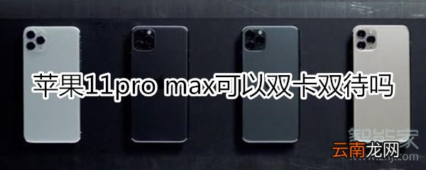 苹果11pro max可以双卡双待吗