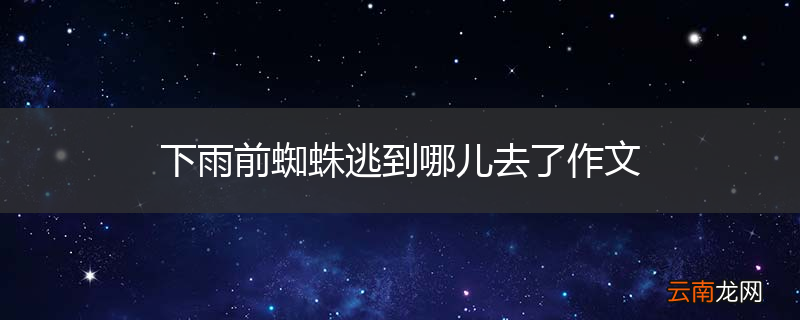 下雨前蜘蛛逃到哪儿去了作文