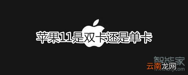 苹果11是双卡还是单卡