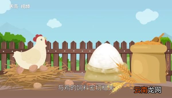 蛋黄为什么是黄色的 为什么鸡蛋的蛋黄是黄色的