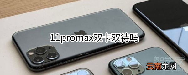 11promax双卡双待吗