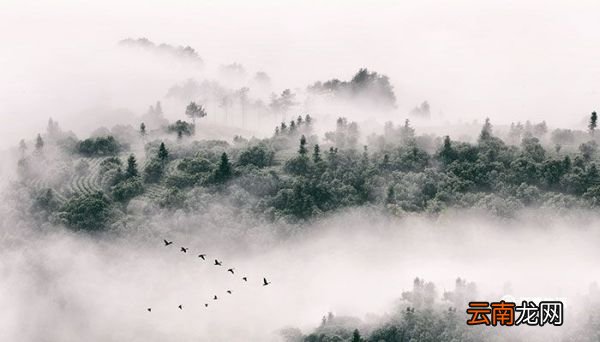 管仲的改革措施有哪些 管仲为政的举措有哪些