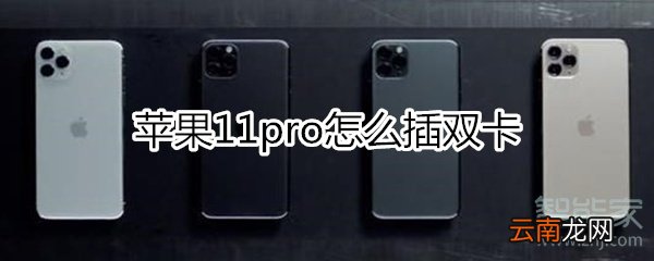 苹果11pro怎么插双卡