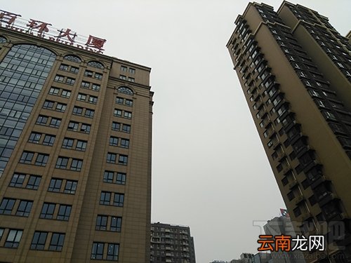 中兴V8怎么样？中兴BladeV8手机可以吗？