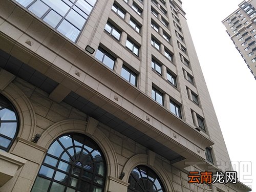 中兴V8怎么样？中兴BladeV8手机可以吗？