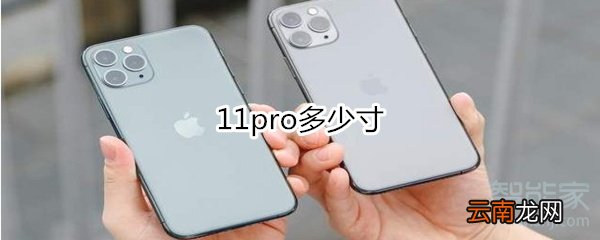 11pro多少寸