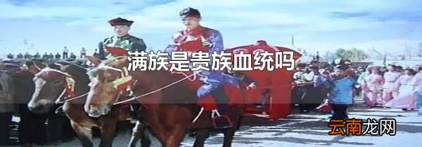 满族是贵族血统吗