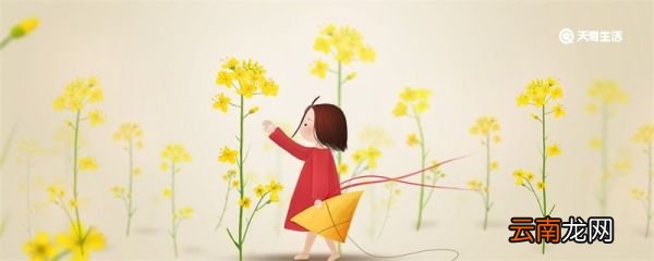 佛说人生感悟的句子 关于人生感悟的句子