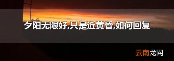 夕阳无限好,只是近黄昏,如何回复