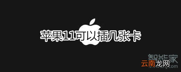 苹果11可以插几张卡