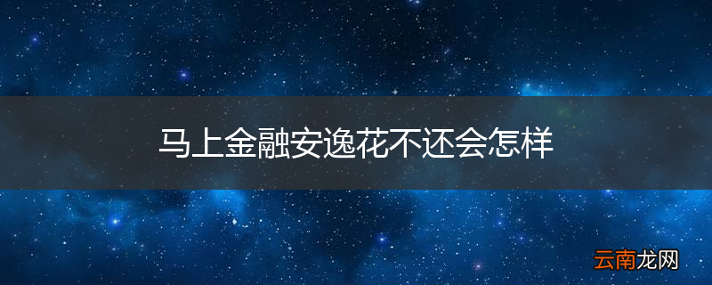 马上金融安逸花不还会怎样