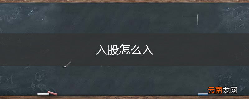 入股怎么入
