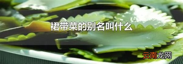 裙带菜的别名叫什么