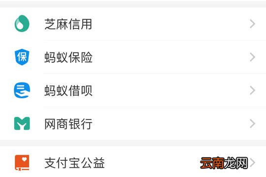 支付宝中使用好医保长期医疗详细步骤介绍