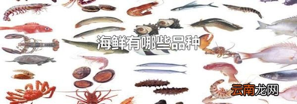 海鲜有哪些品种