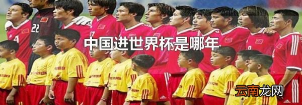 中国进世界杯是哪年