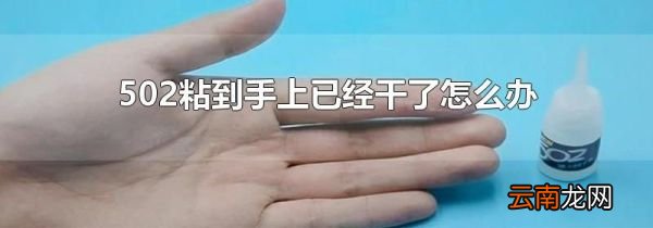 502粘到手上已经干了怎么办