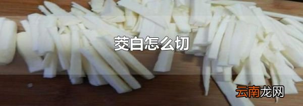 茭白怎么切