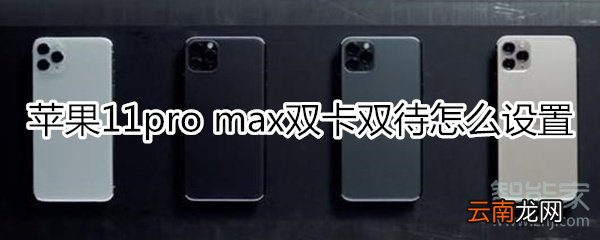 苹果11pro max双卡双待怎么设置