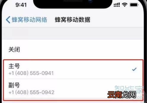 苹果11pro max双卡双待怎么设置