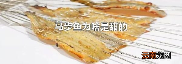 马步鱼为啥是甜的
