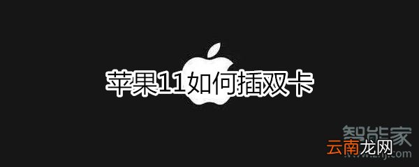 苹果11如何插双卡