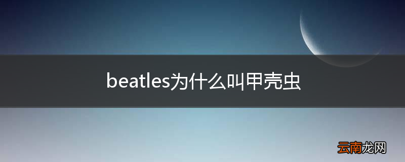 beatles为什么叫甲壳虫