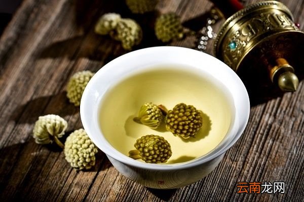 绿萝花的功效与作用 绿萝花的禁忌人群