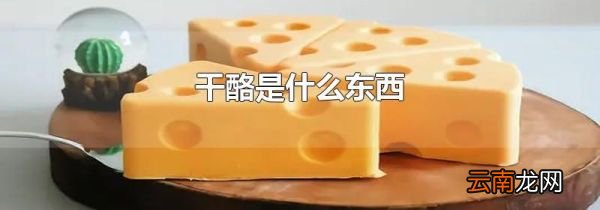 干酪是什么东西