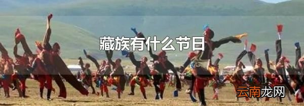 藏族有什么节日