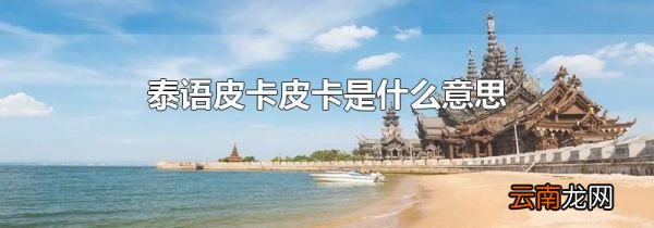泰语皮卡皮卡是什么意思