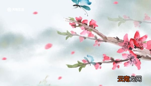 才感春来忽而夏至什么意思 才感春来忽而夏至的意思