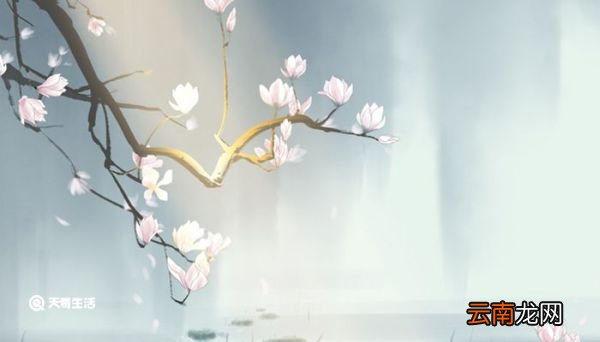 才感春来忽而夏至什么意思 才感春来忽而夏至的意思