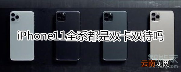 苹果11系列全是双卡双待吗