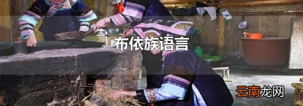 布依族语言