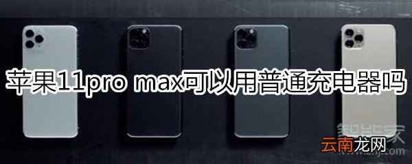 苹果11pro max可以用普通充电器吗