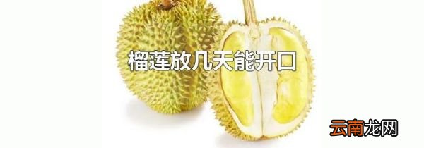 榴莲放几天能开口